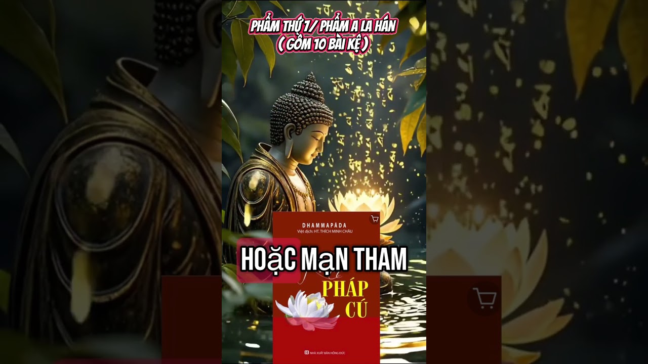 #chualanh #healing #kinhph&aacute;pc&uacute; #nangcaotanso #baihoccuocsong @AnMocGia6219