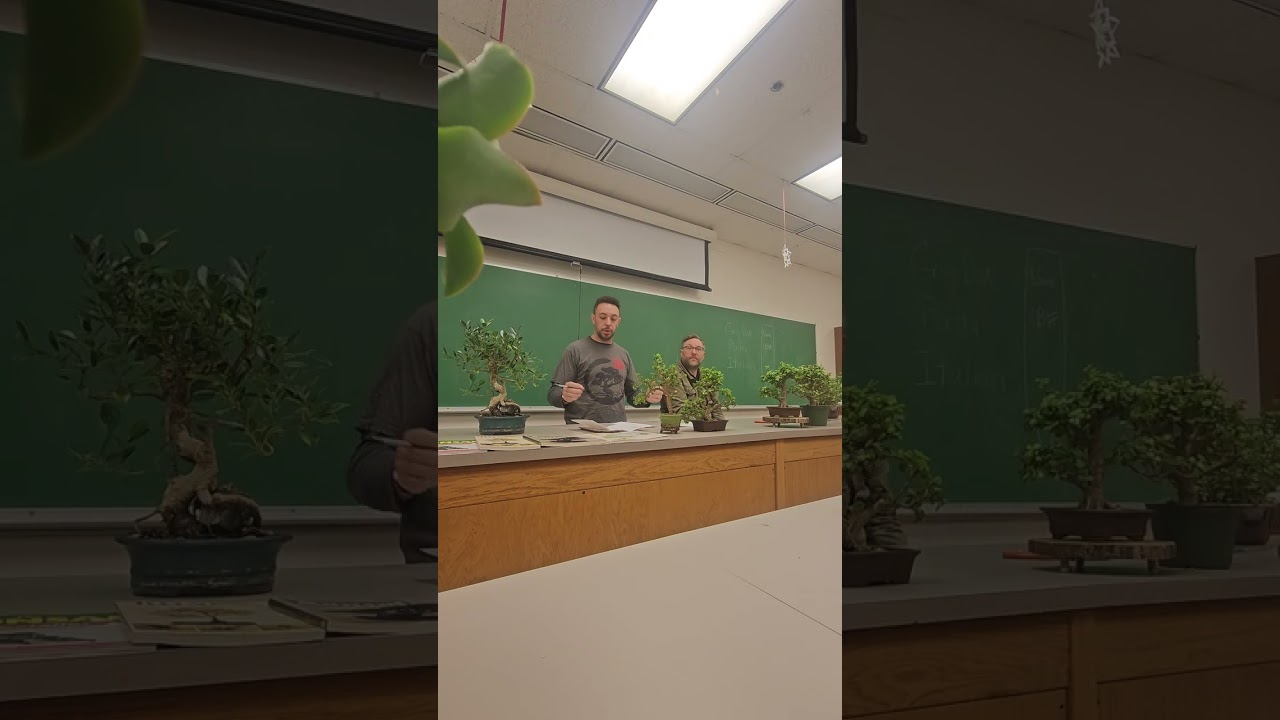 Bonsai Society of Central Illinois March 2026 meeting