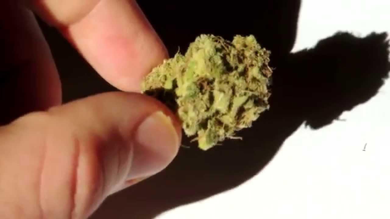 AK 47 Marijuana