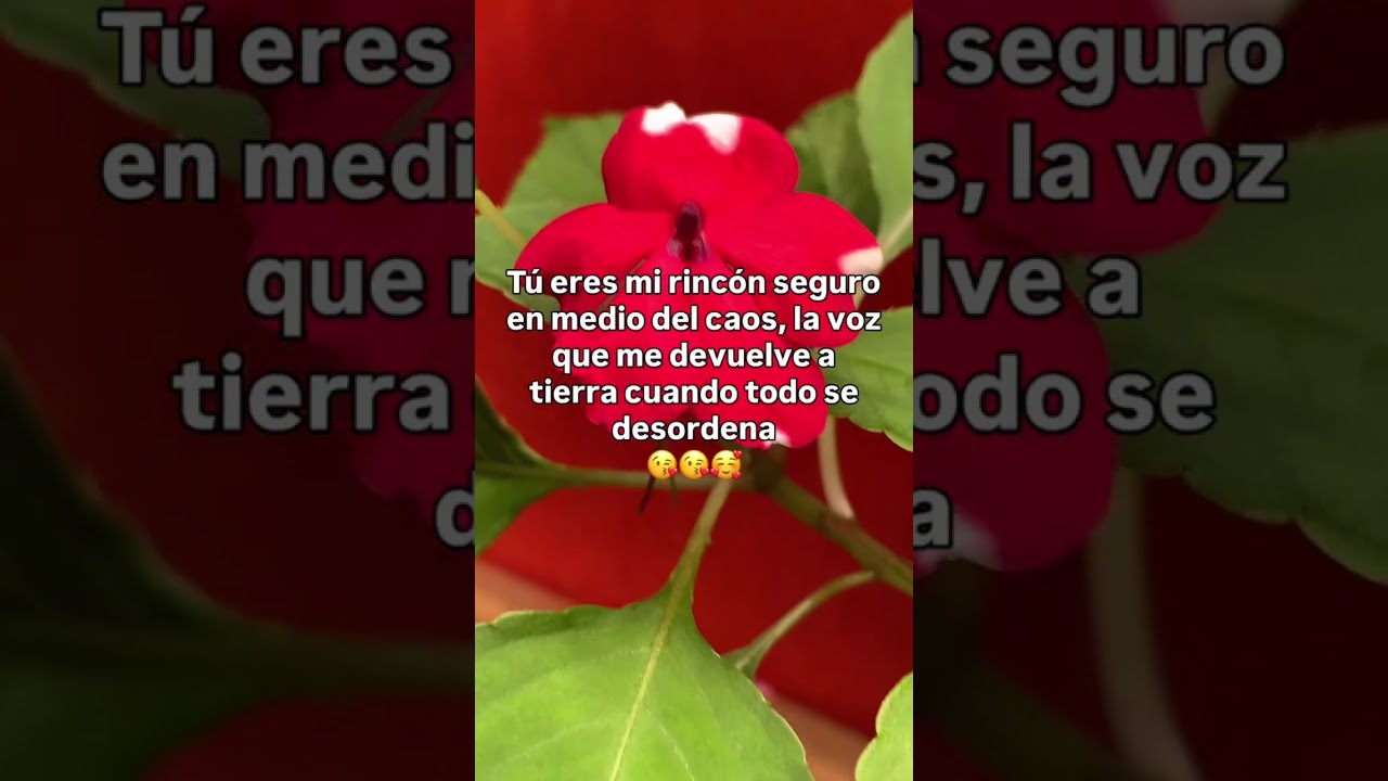 Любовное письмо 💌