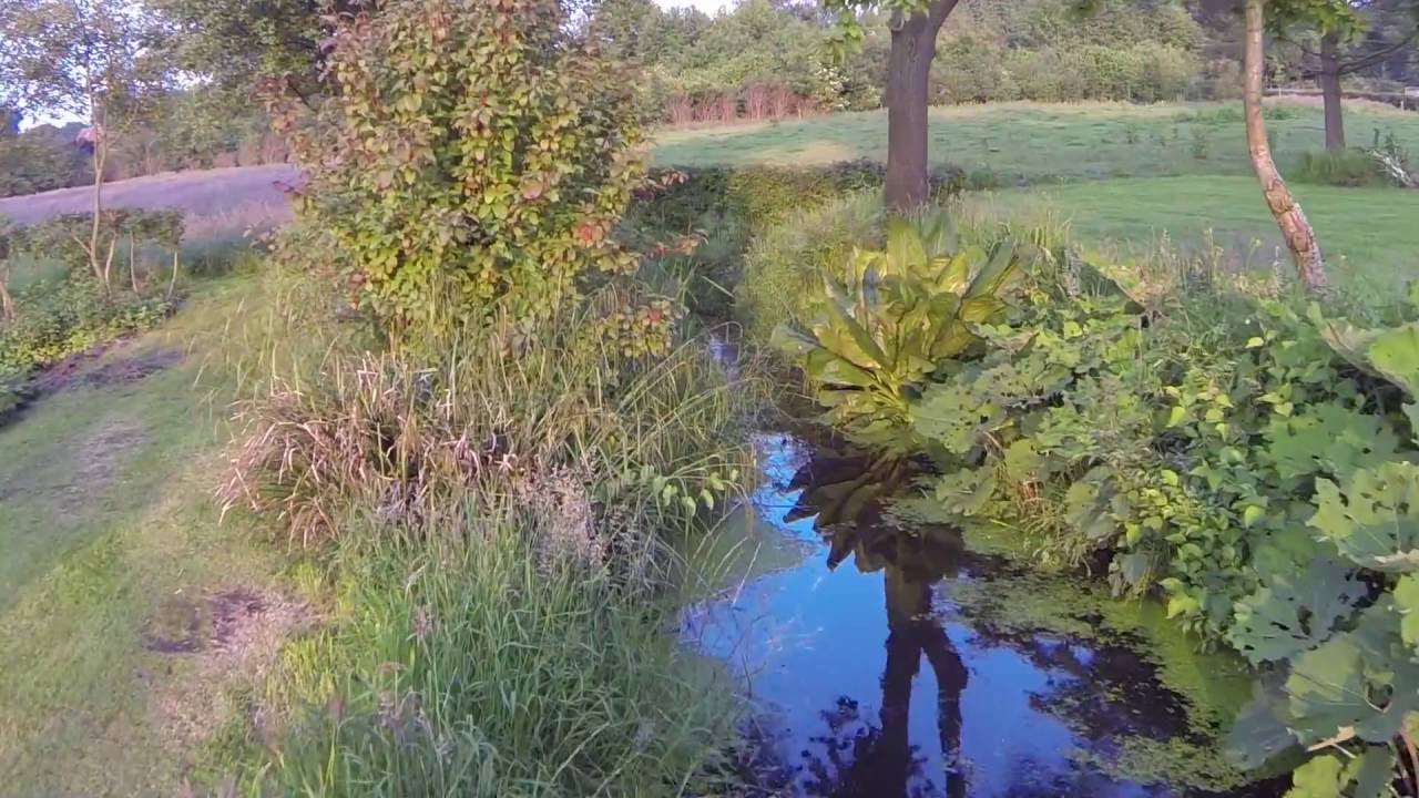 Beelden van Landgoed 'de Wellehoek'