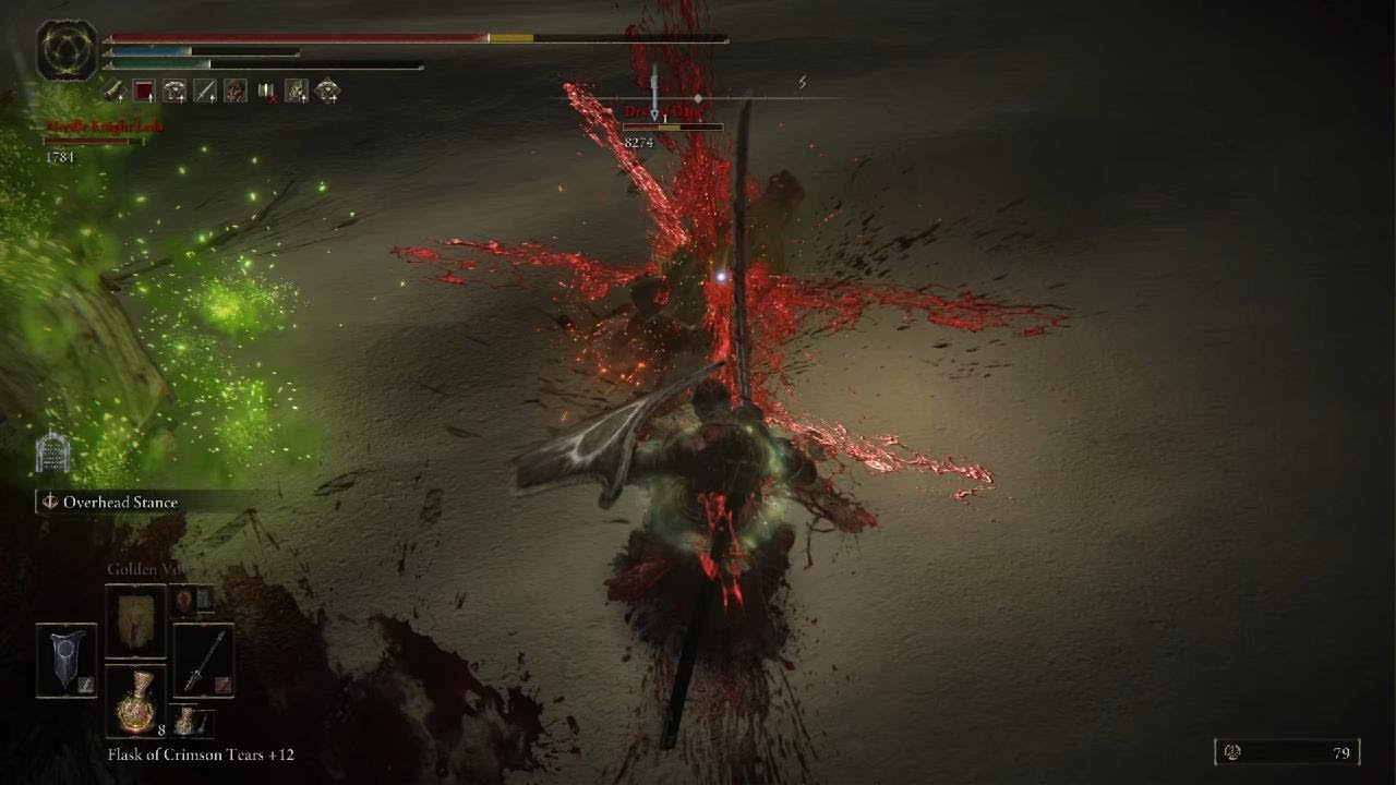 Needle Knight Leda and allies kill (with Thioller and Ansbach) Enir-Ilim Shadow of the Erdtree