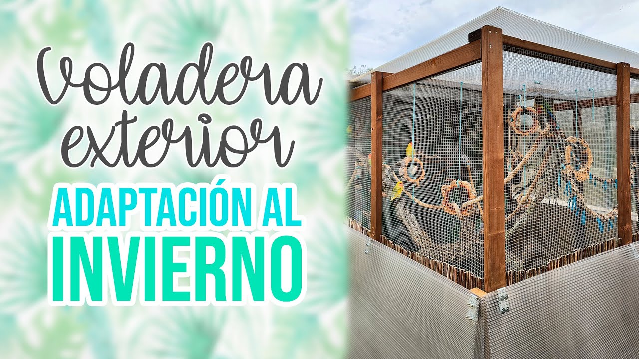 Voladera exterior para loros en invierno | @saratorressoler