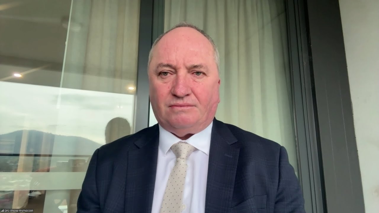 Barnaby Joyce appointed One Nation&rsquo;s treasury spokesperson