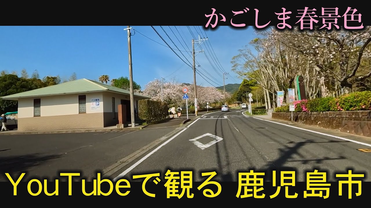 鹿児島　南高校　タイヨー 慈眼寺店　慈眼寺公園　さくら公園　坂之上　GoProで撮影　おまかせテレビ2023年3月29日