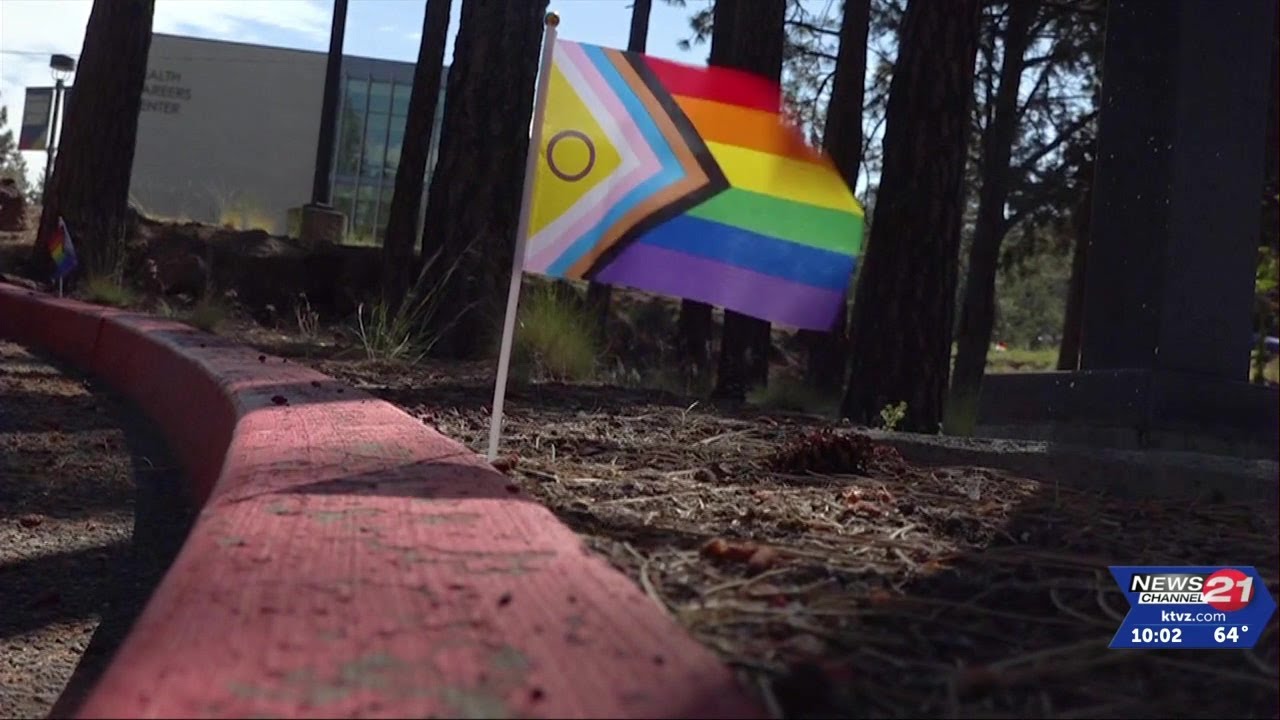 Queer Creator's&nbsp;Collective invites the public to the Summer Pride festival at COCC