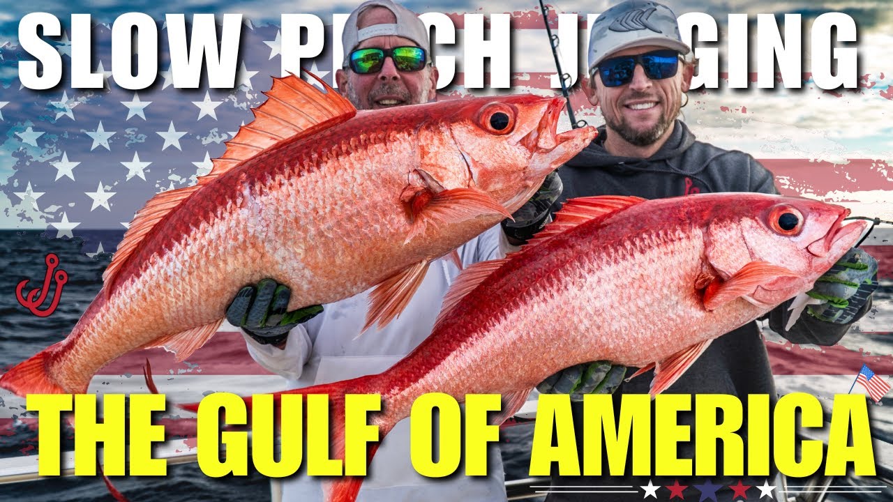 Reigning Queen Snapper Over The Gulf Of America | Slow Pitch Jigging Pulley Ridge