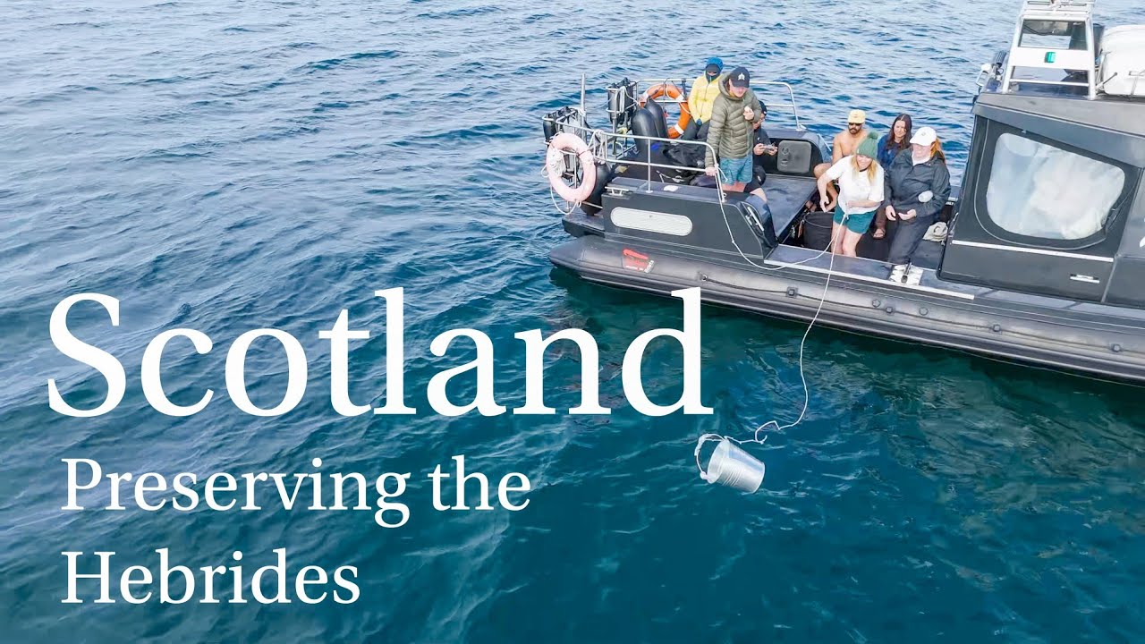 Scotland: basking shark conservation and microplastics research | project documentary
