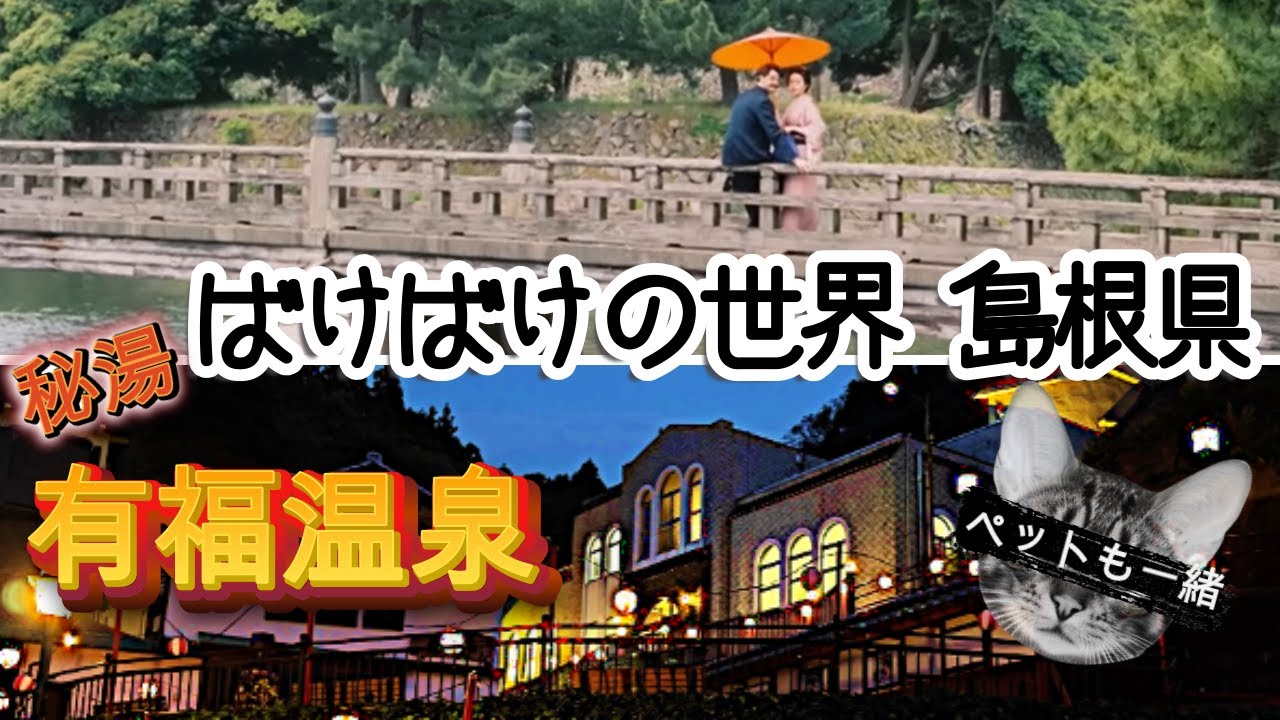【ばけばけ 旅】島根旅行 松江ロケ地 秘湯 外湯めぐり ペットと一緒 松江城 松江しんじ湖 堀川遊覧船 有福温泉 アクアス 日本海 益田市 雪舟庭園