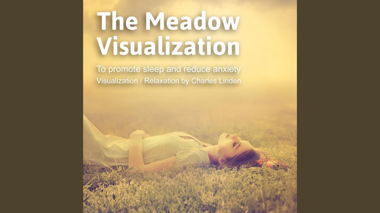 The Meadow Visualization