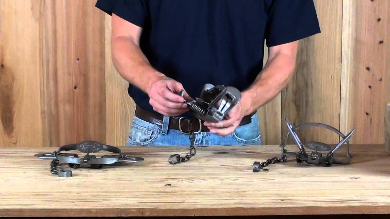 Duke #3 Coil Spring Trap