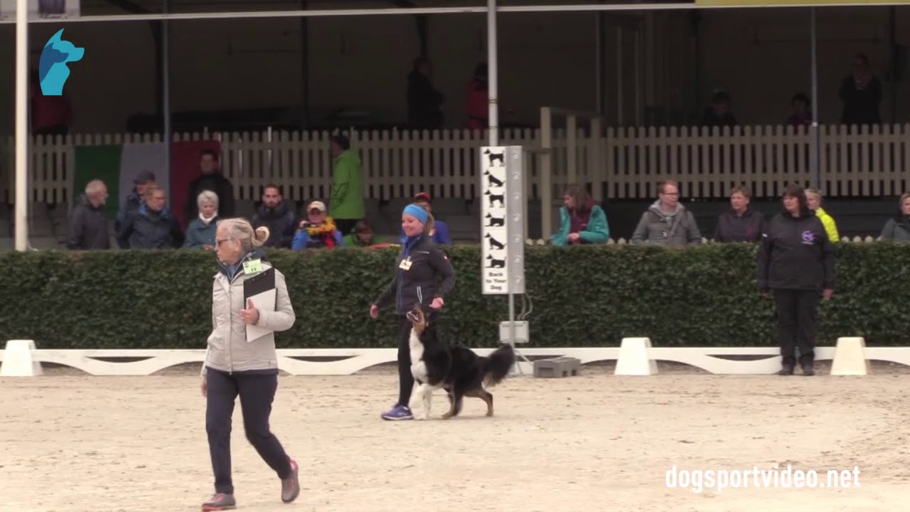 Selection - Elke Boxoen + Jessy Luna Tale / Border Collie -  Belgium