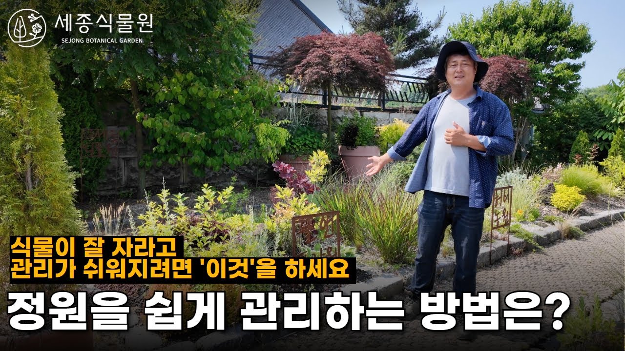 정원을 쉽게 관리하는 방법 '이것'을 꼭 알아두세요! 식물이 잘 자라고 관리하기 쉬운 방법을 알려드립니다. #정원 #정원가꾸기 #가드닝 #식물 #식물키우기