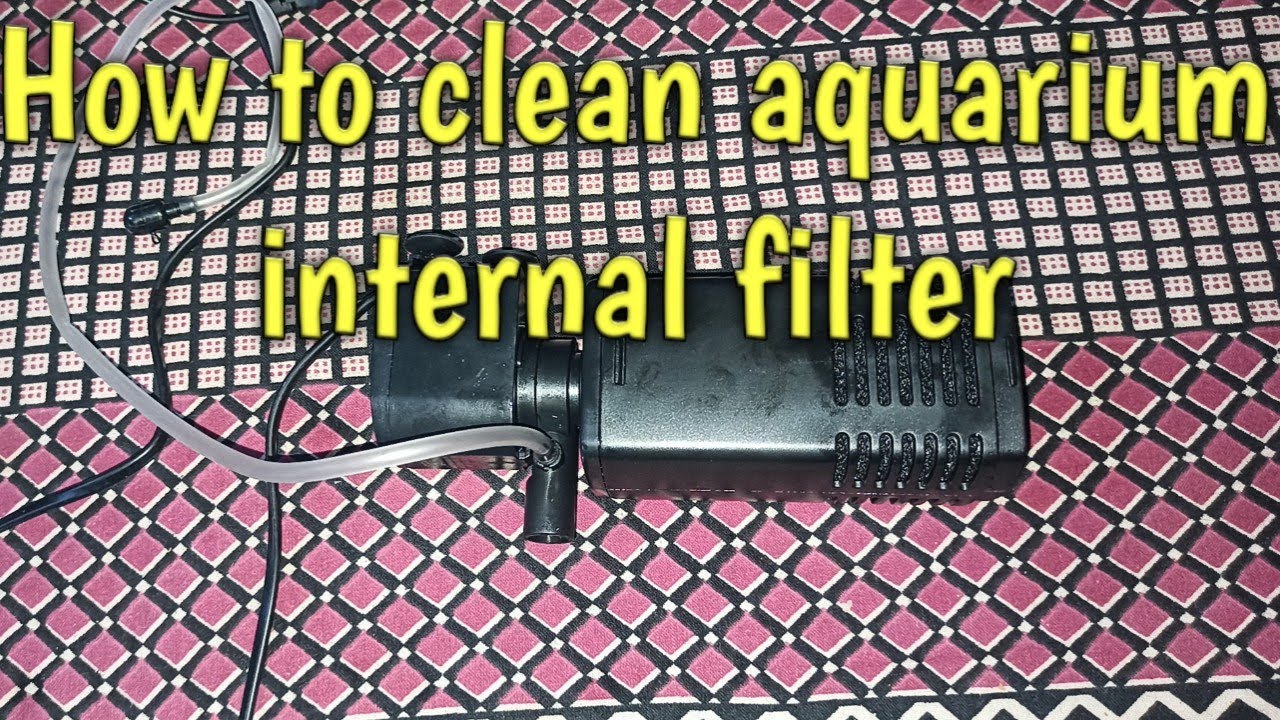 How to clean aquarium filter