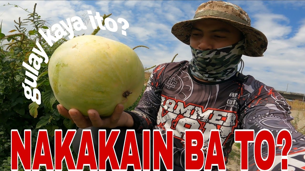 Ngayon lang ako nakakita Ng ganitong gulay dto SA ilog