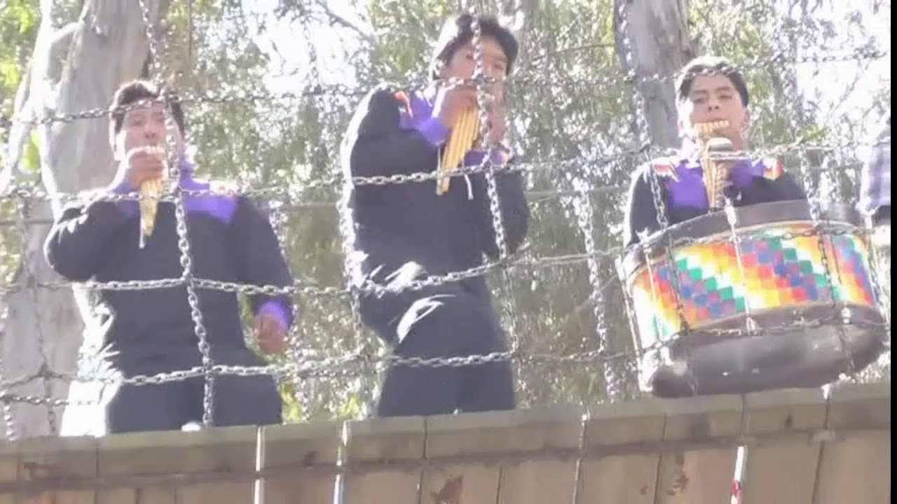 huaycheños mix con sicuris machack waynas La Paz