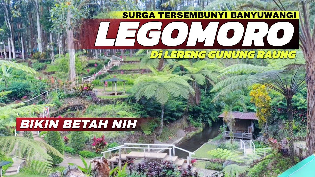 Surga Tersembunyi Banyuwangi Barat! Melihat Keindahan Legomoro Terbaru 2025 (Wisata Alam Banyuwangi)
