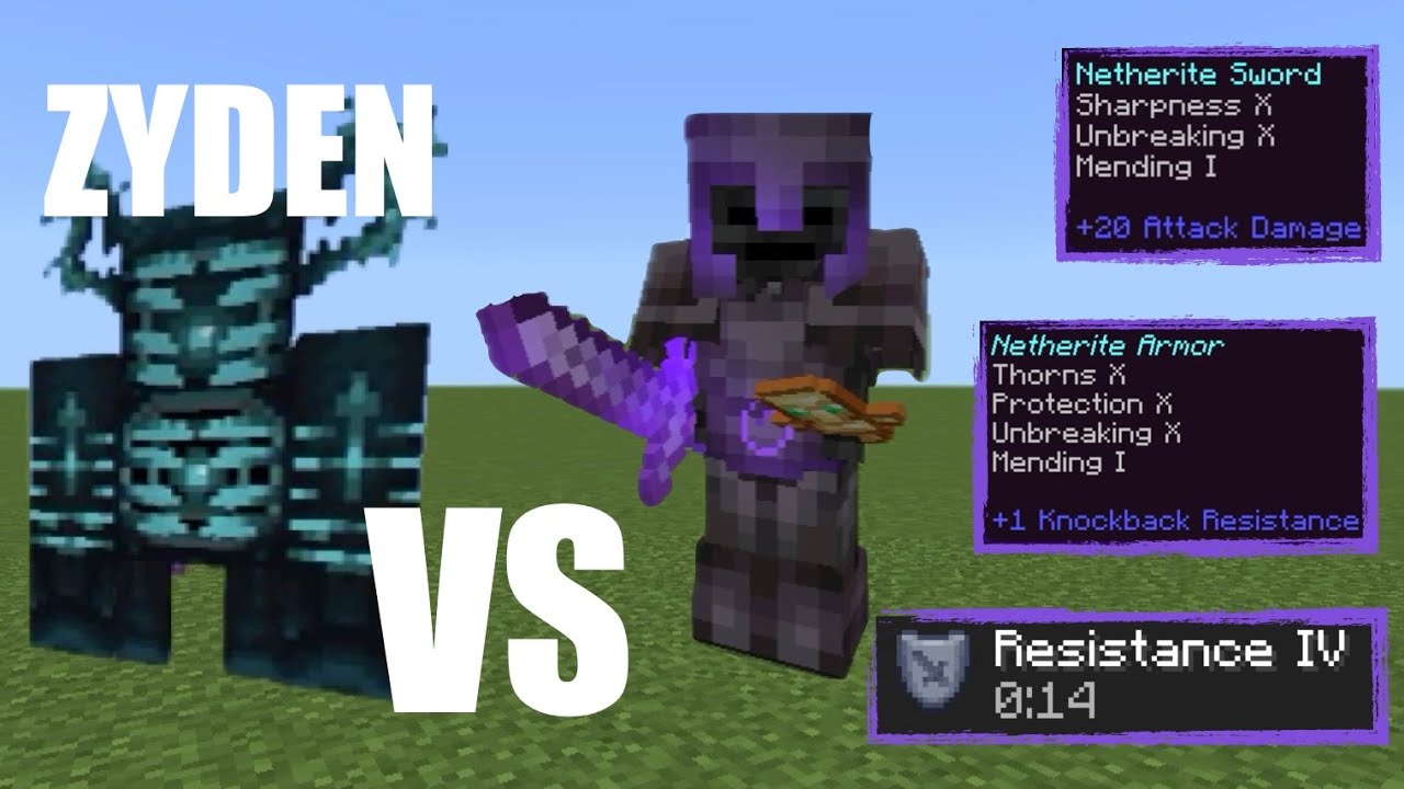OP wither skeleton VS ZYDEN