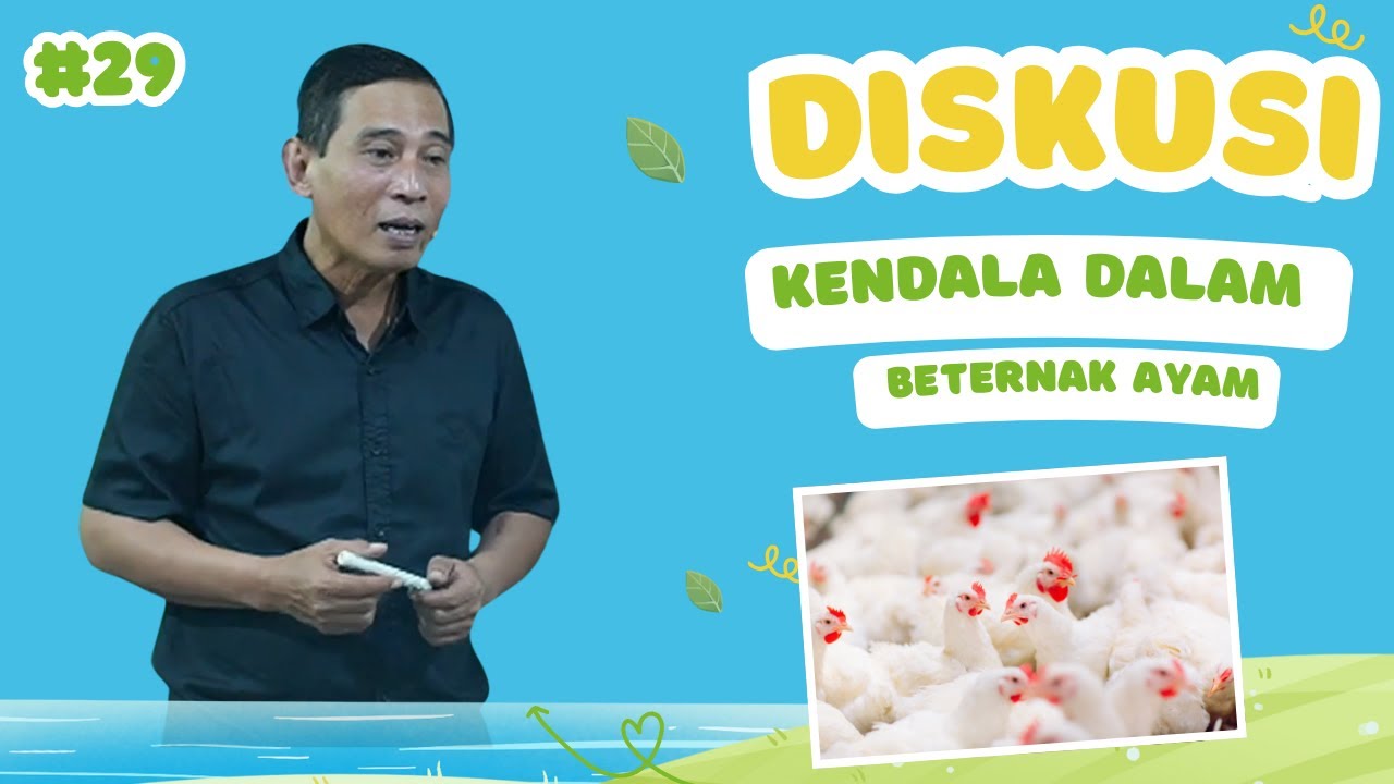 Kendala Dalam Beternak Ayam
