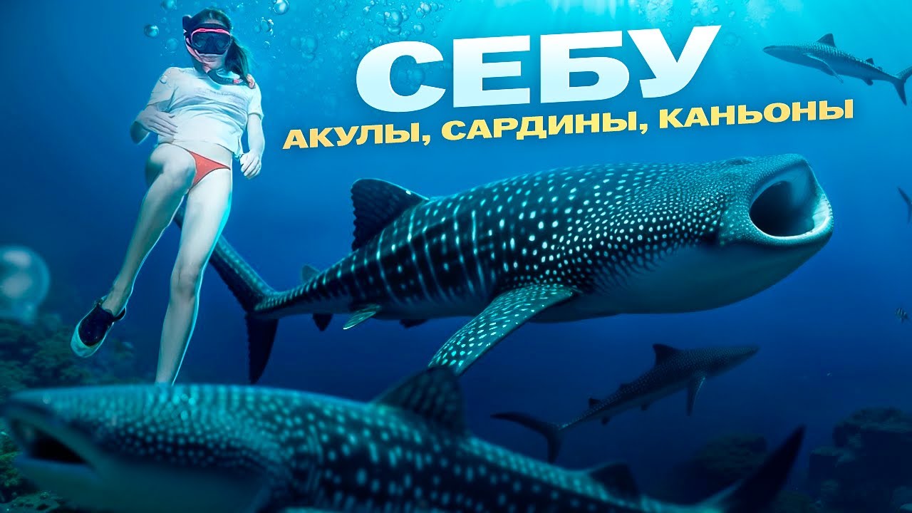 Себу | Филиппины - что лучше знать заранее? Как и на чем сэкономить в поездке на остров?
