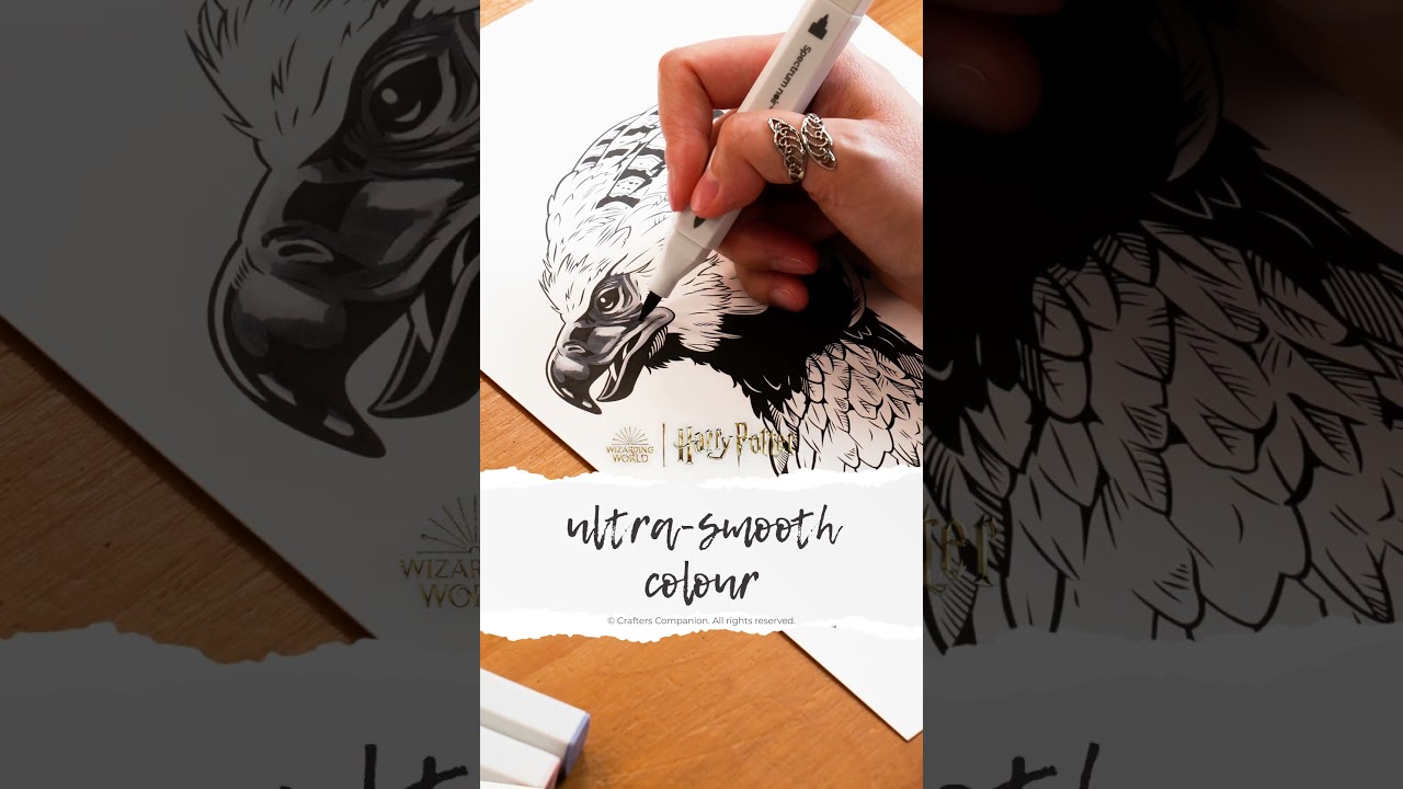 Unleash your Magical Harry Potter Fan-Art Creations - Spectrum Noir