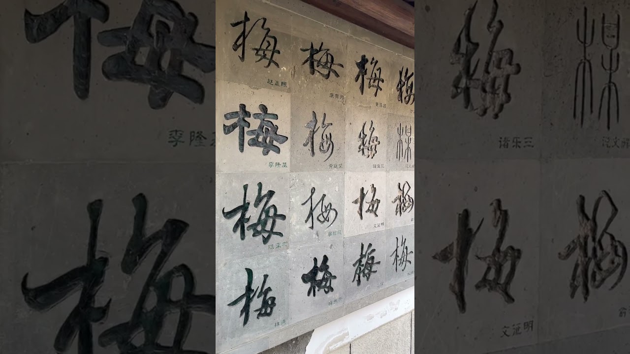 杭州植物园灵峰探梅