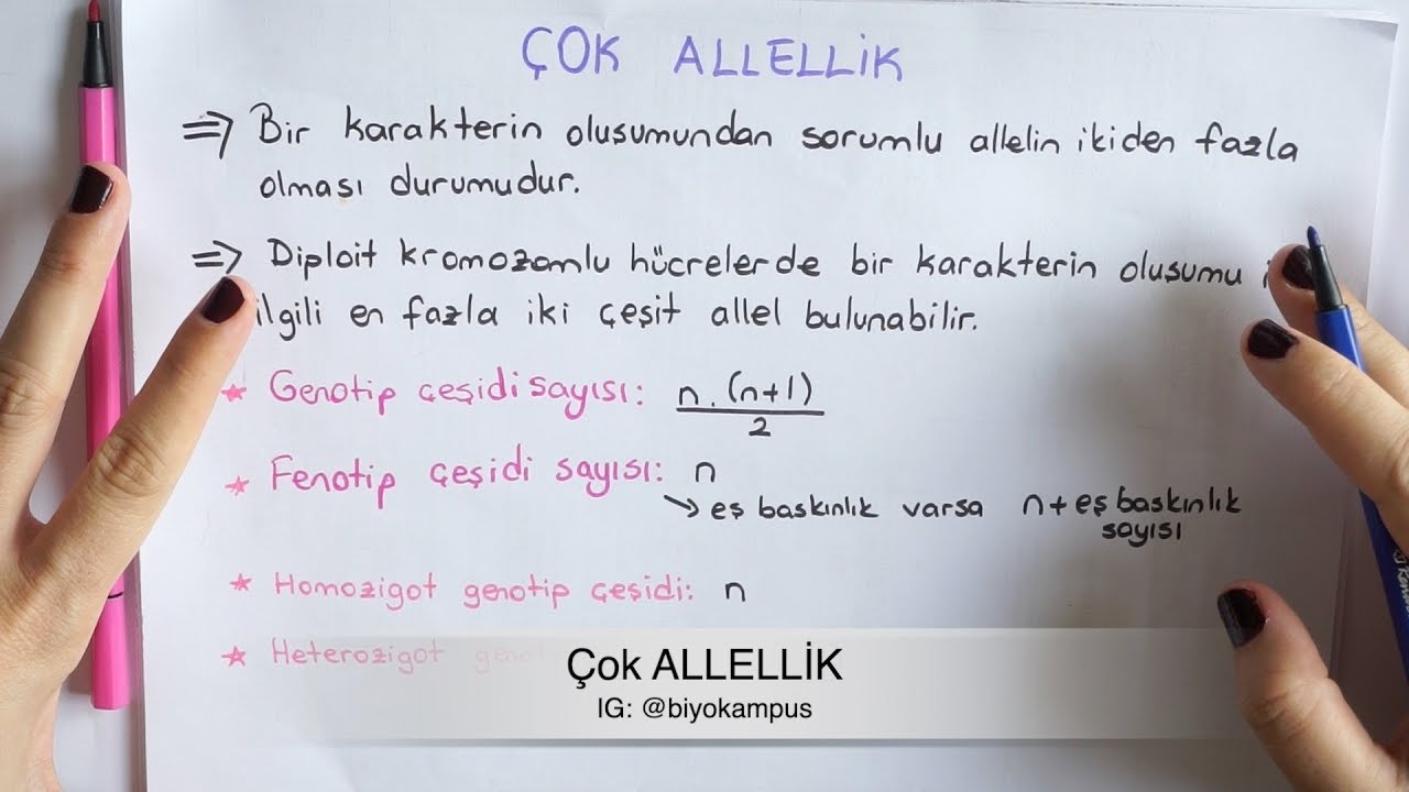 Kalıtım 10. Sınıf | Çok Allellik