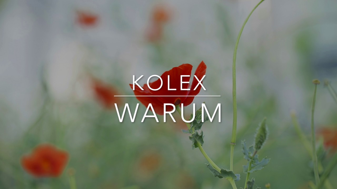kolex - Warum
