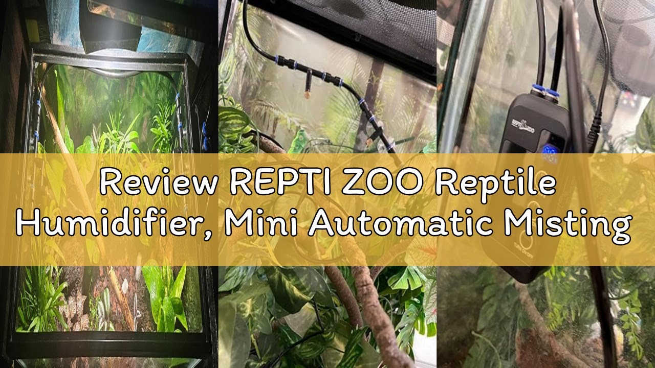 Review REPTI ZOO Reptile Humidifier, Mini Automatic Misting System for Reptile Terrariums, Rainfores
