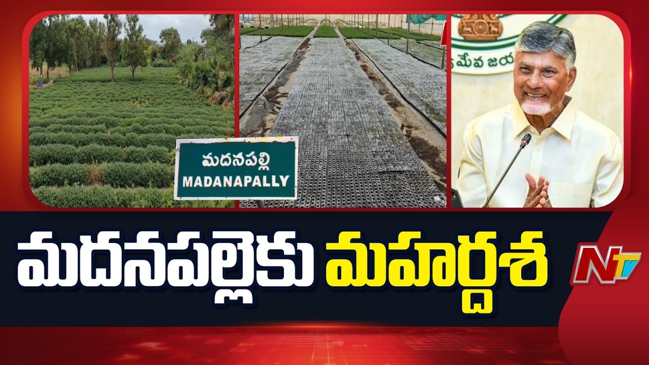 లక్ష కోట్లతో మదనపల్లెలో గ్లోబల్ హార్టీకల్చర్ హబ్ | CM Chandrababu | Horticulture hub in Madanapalle