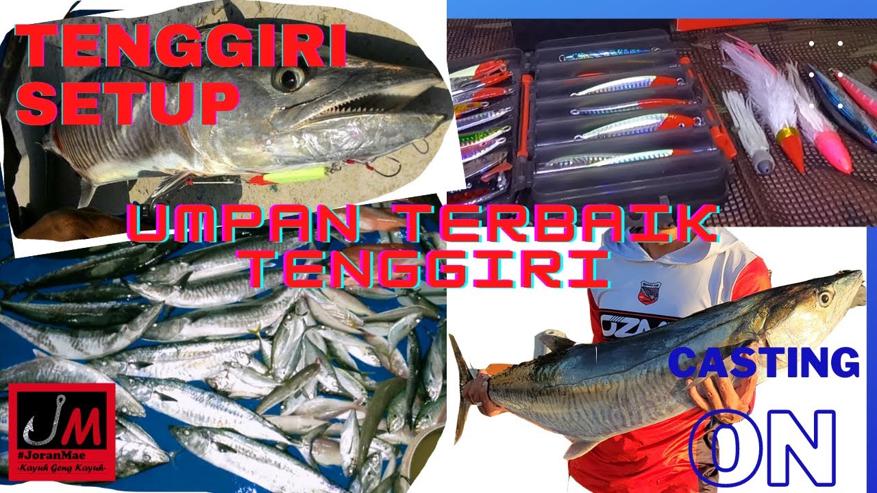 JM#003-Umpan terbaik tenggiri #tenggirisetup #castingtenggiri #joranmae