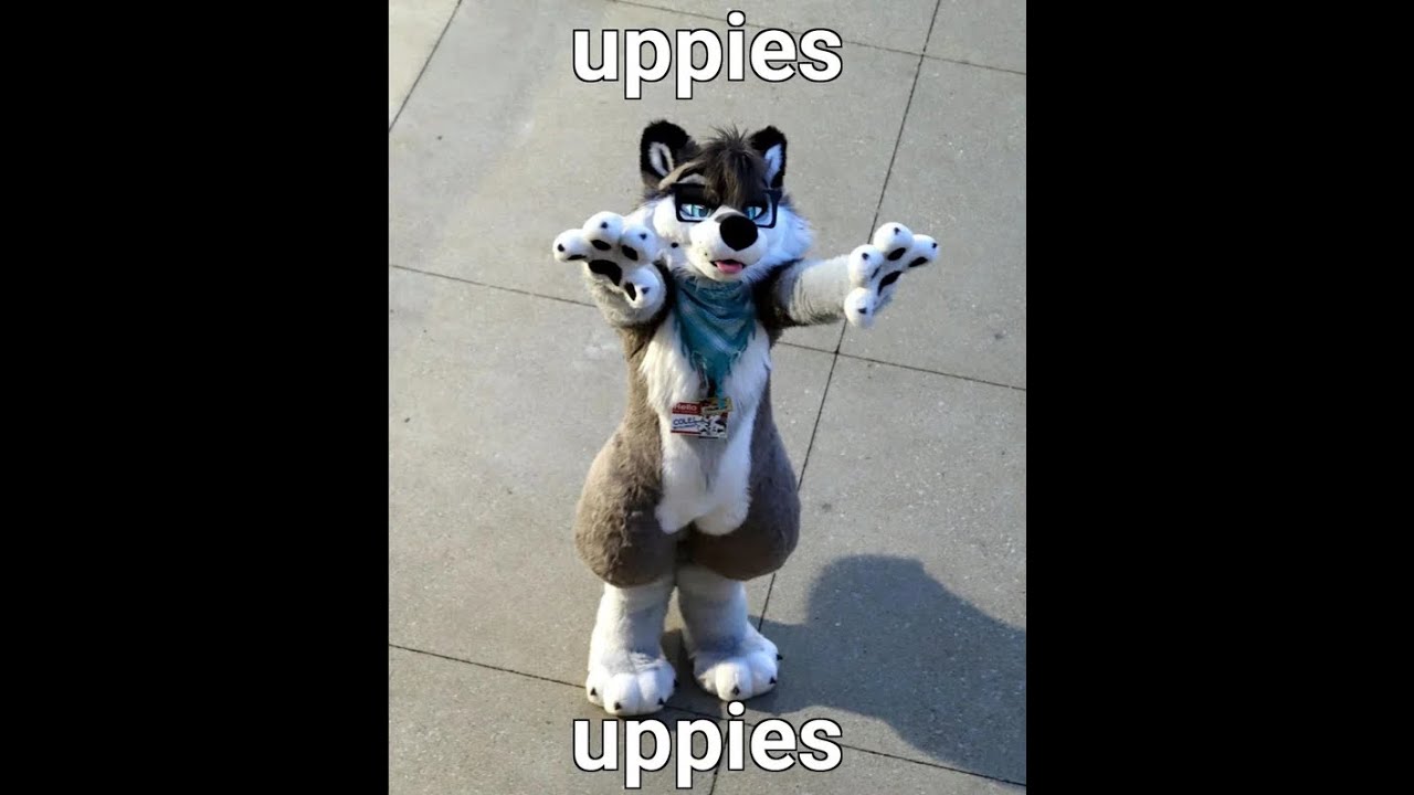 Furry Memes Santa Left Me