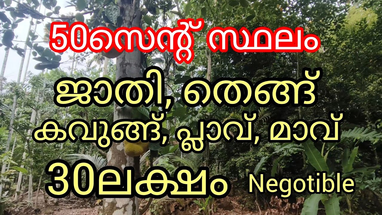 50സെന്റ് സ്ഥലം-30ലക്ഷം ജാതി തെങ്ങ് കവുങ്ങ് പ്ലാവ് മാവ് കുളം കിണർ.