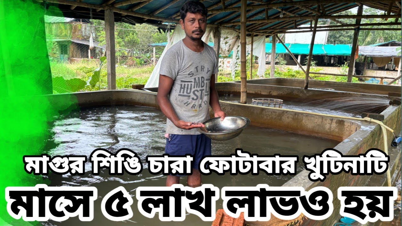 সমস্যা সমাধান করতে আবারও হ্যাচারি থেকে সরাসরি লাইভ আপডেট