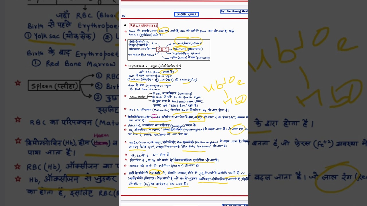 Blood Chapter One Shot 🩸🔥 | Exam Special Revision | Biology