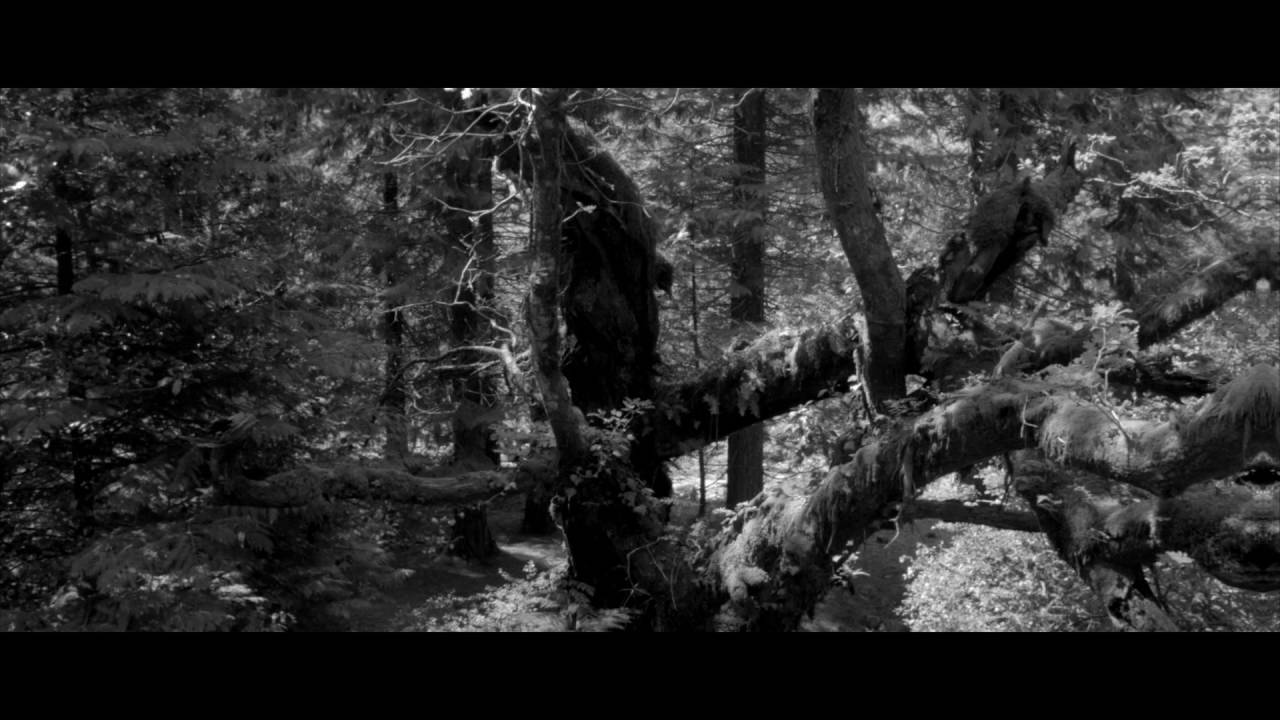 N&eacute;voa - III Conflict (Official Video)