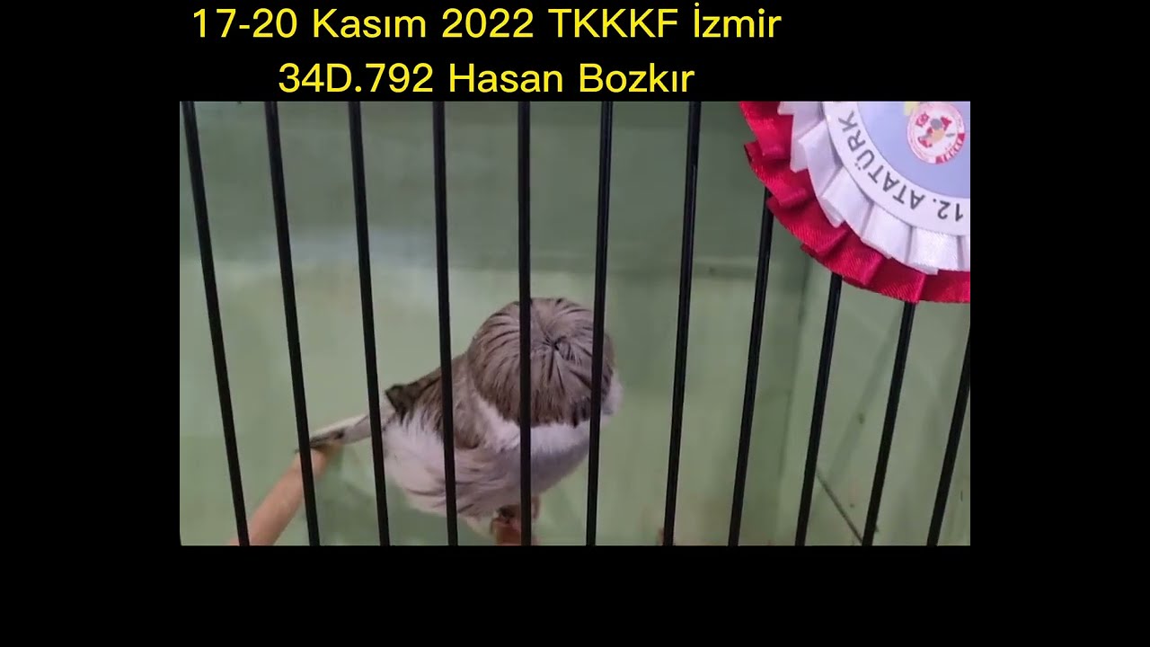 2022 TKKKF İzmir Yarışması