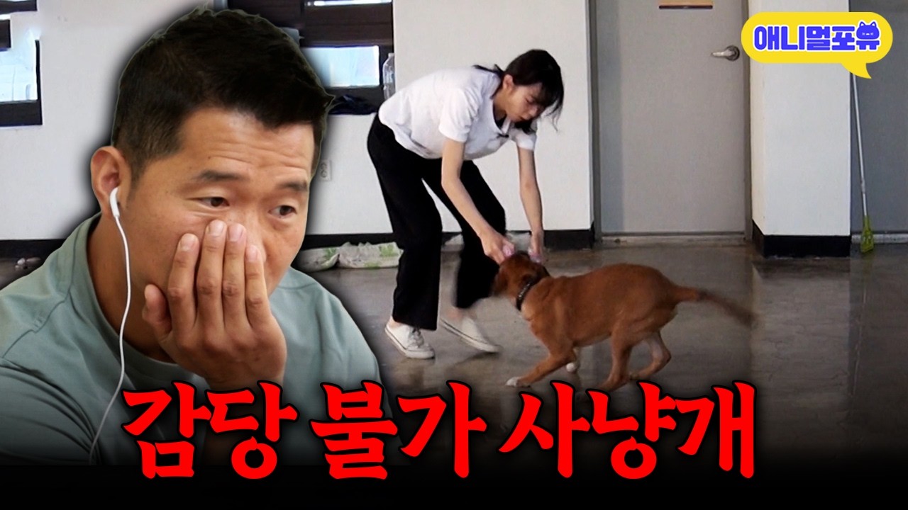 감당 불가한 나머지.. 상가 공실에 홀로 사는 사냥개? ㅣKBS 개는 훌륭하다 210712 방송