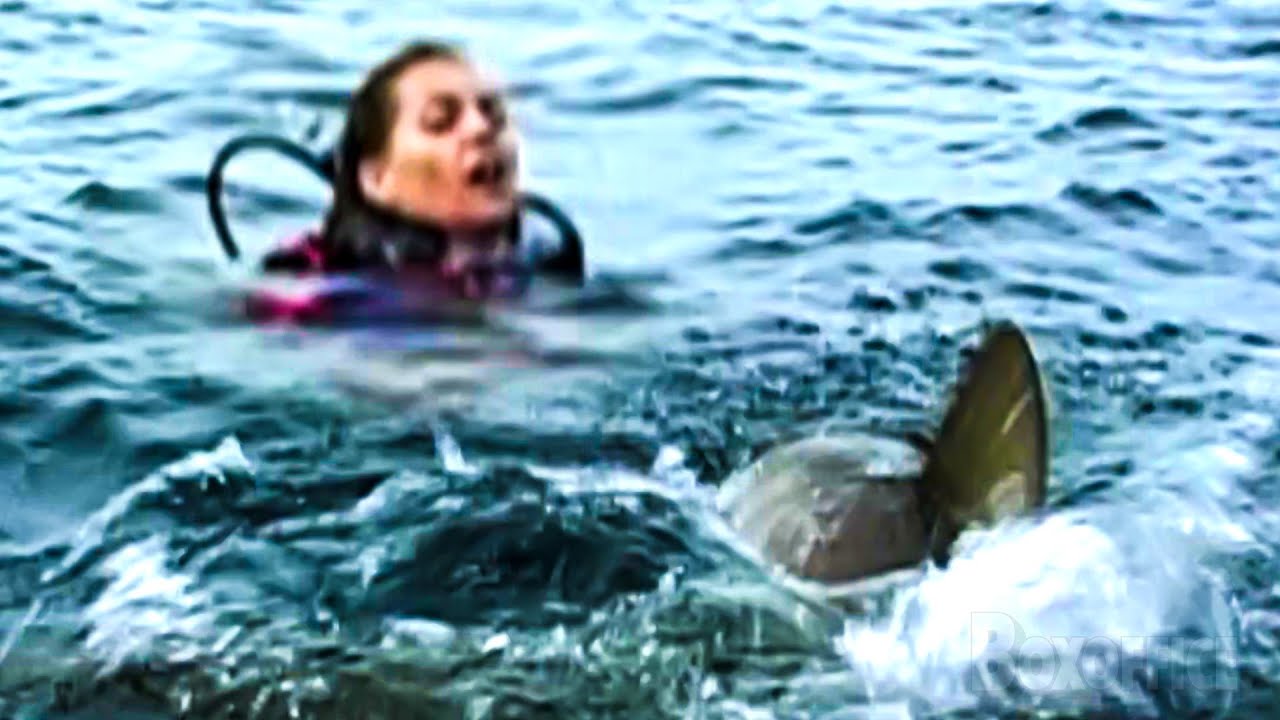 Bone Chilling Final Scene (full) | Open Water | CLIP