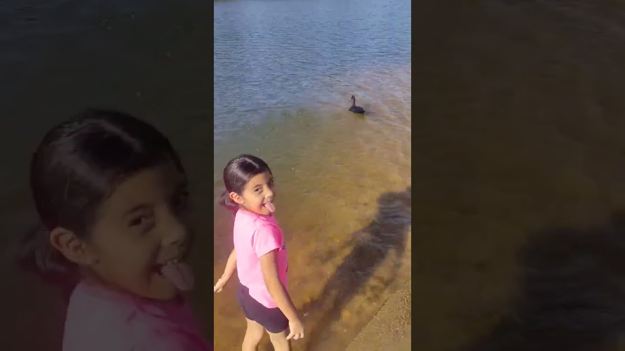 crian&ccedil;a corajosa x Crian&ccedil;a medrosa na represa 🤭#shorts #corajosa #medrosa #shortvideo