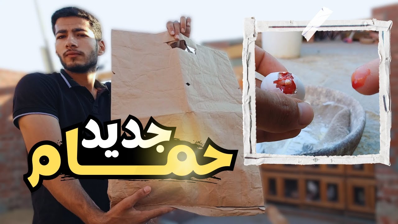 اشتريت حمام جديد وشوف حصل اية للزغاليل