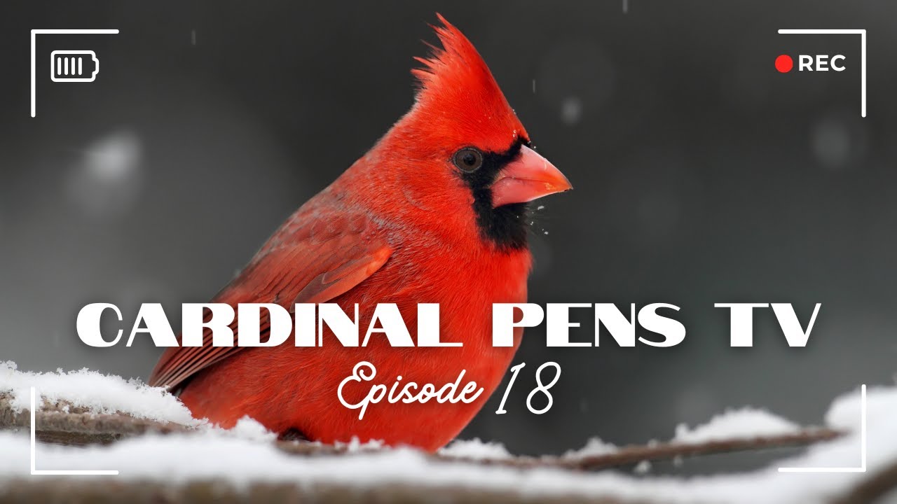 Cardinal Pens TV Episode 18 - Preppies, Parker, and Pretty Cold Weather!