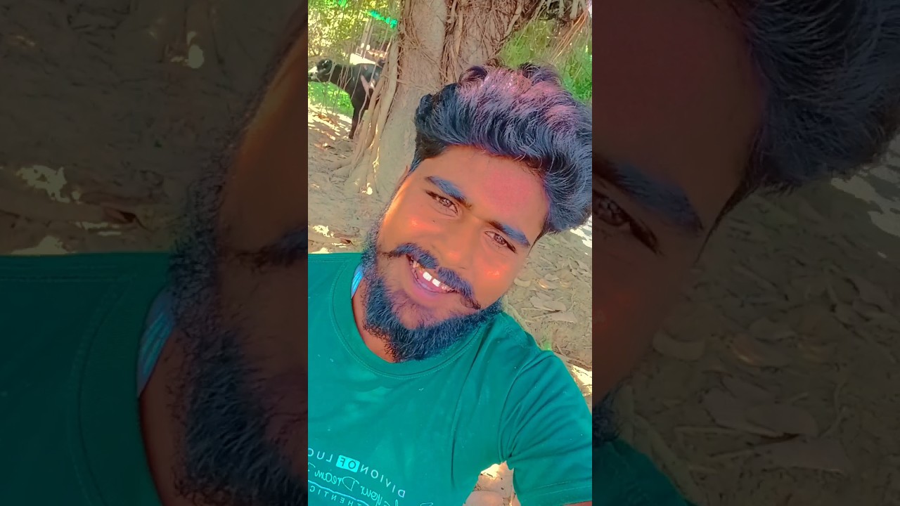 #shortdescription#