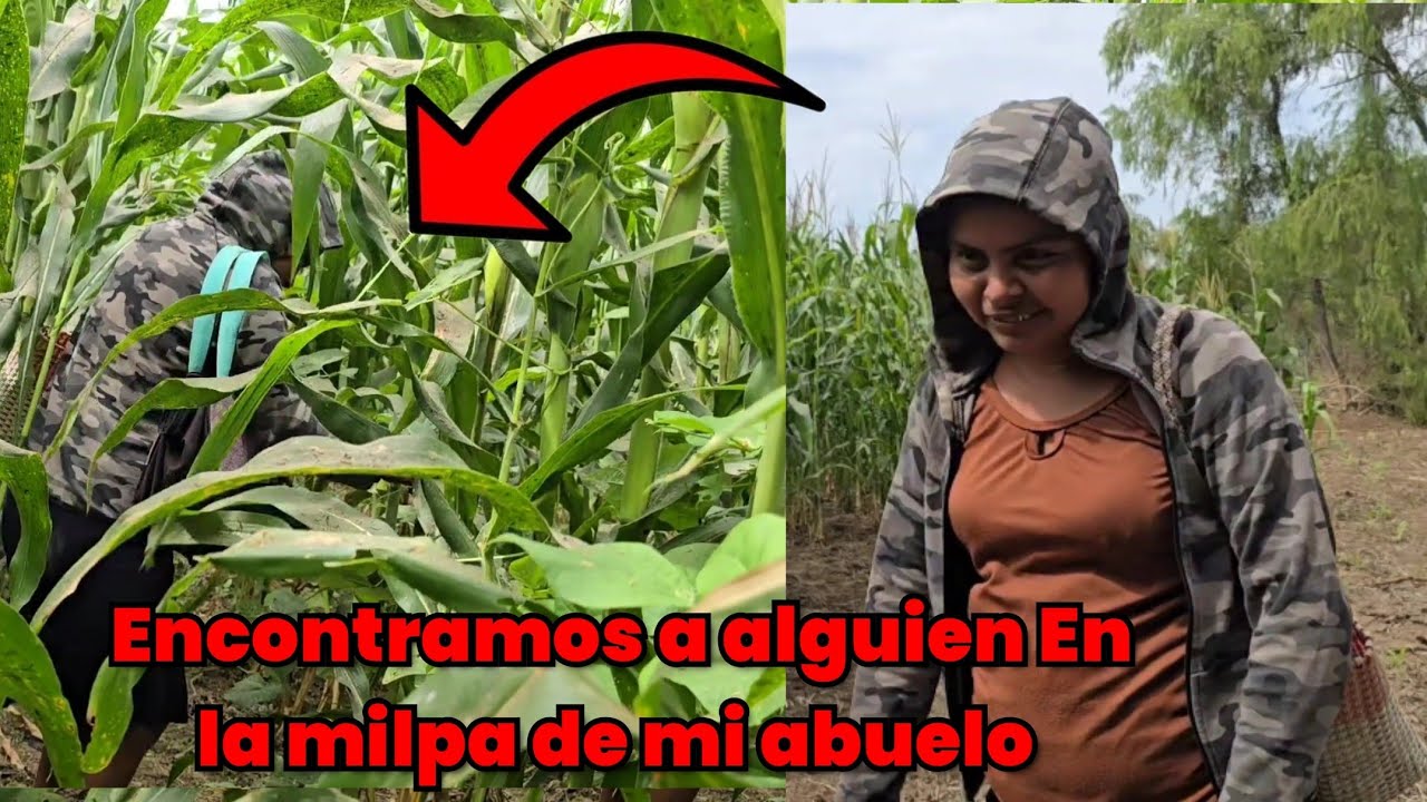 🚨Fuimos a ver las cosecha de mi abuelo Sin imaginar lo que encontraríamos 😱