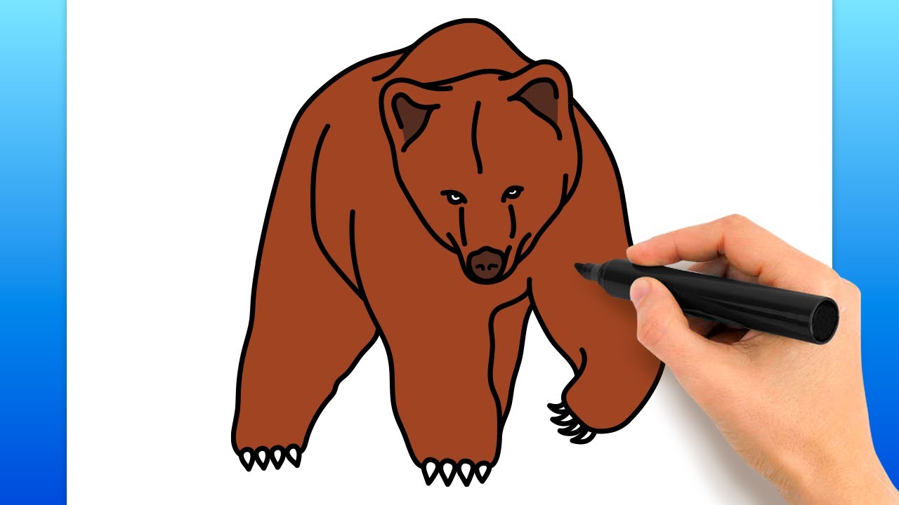 How To Draw A Grizzly Bear (Easy Drawing Tutorial)