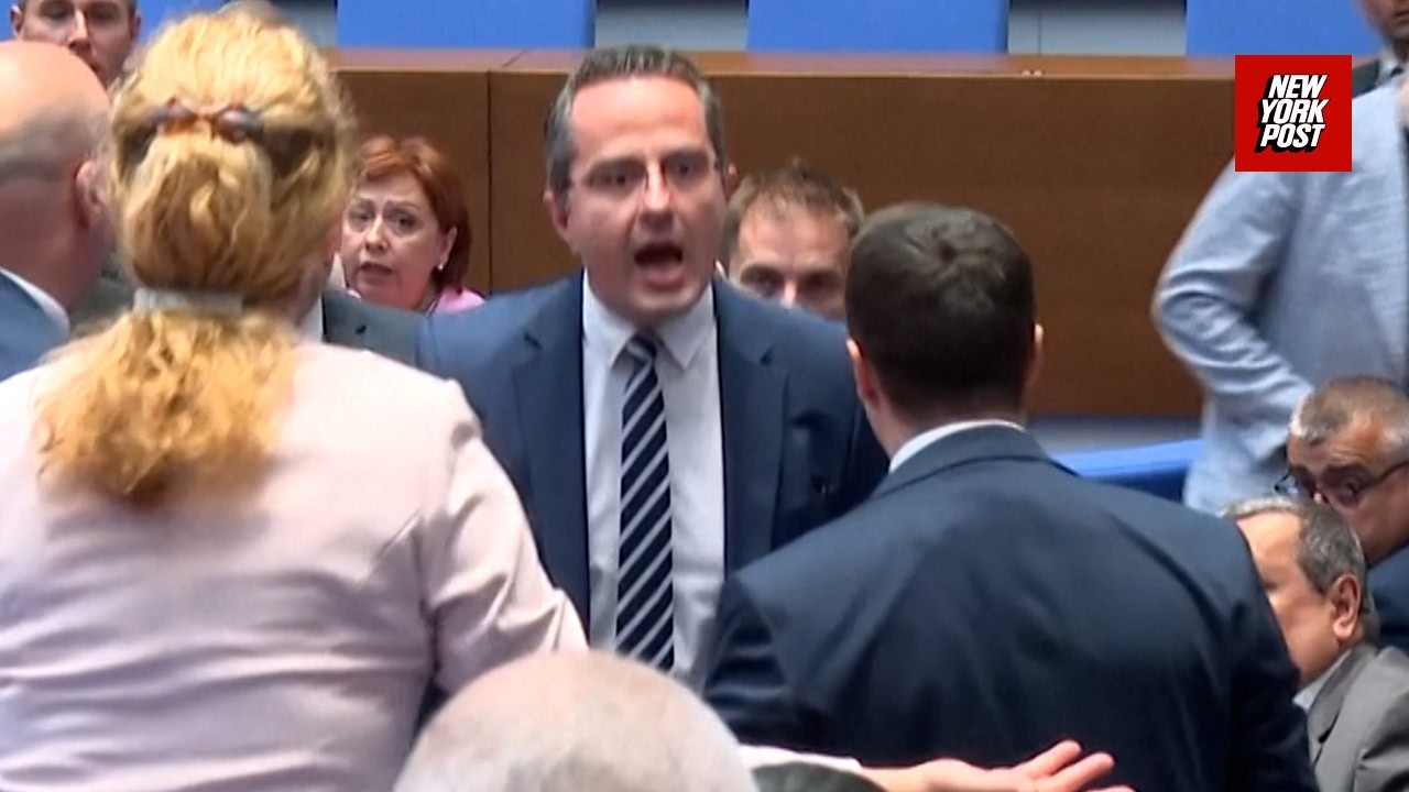 WATCH Bulgarian politicians CLASH during a parliamentary session over euro