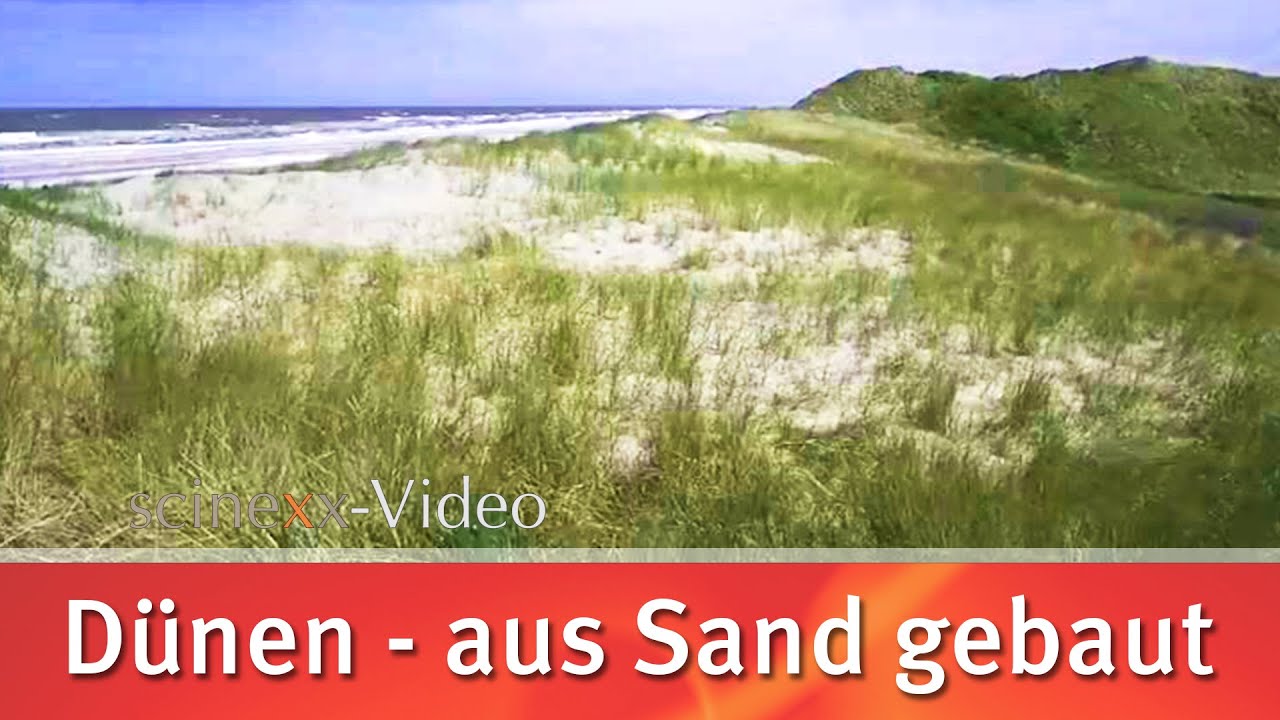 D&uuml;nen - aus Sand gebaut // scinexx.de