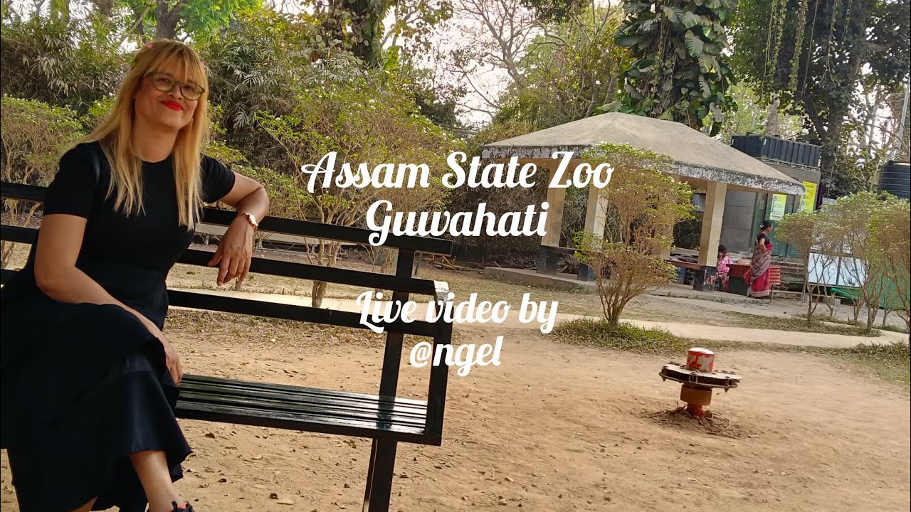 Assam State Zoo Live Video #wildlife #zoolovers #travelvlogs #livevideo 