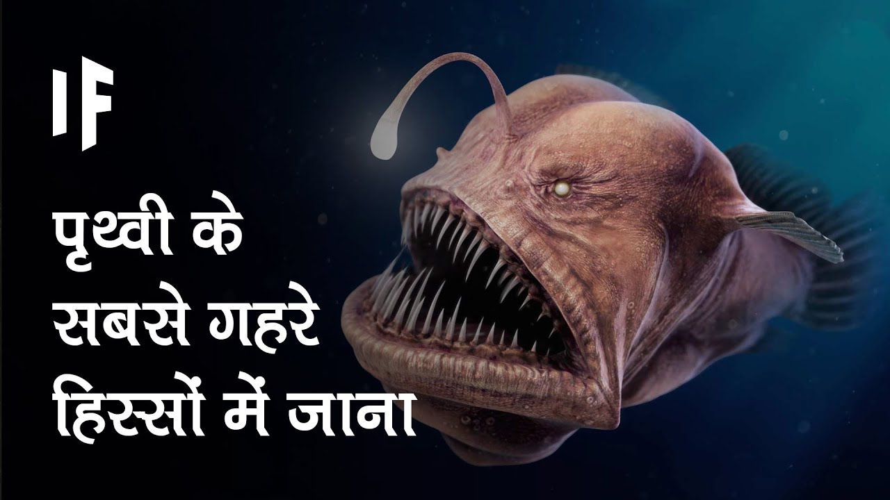 क्या हो अगर हम अर्थ के सबसे गहरे प्वाइंट्स तक जा सकें । Exploring The Deepest Points On Earth?