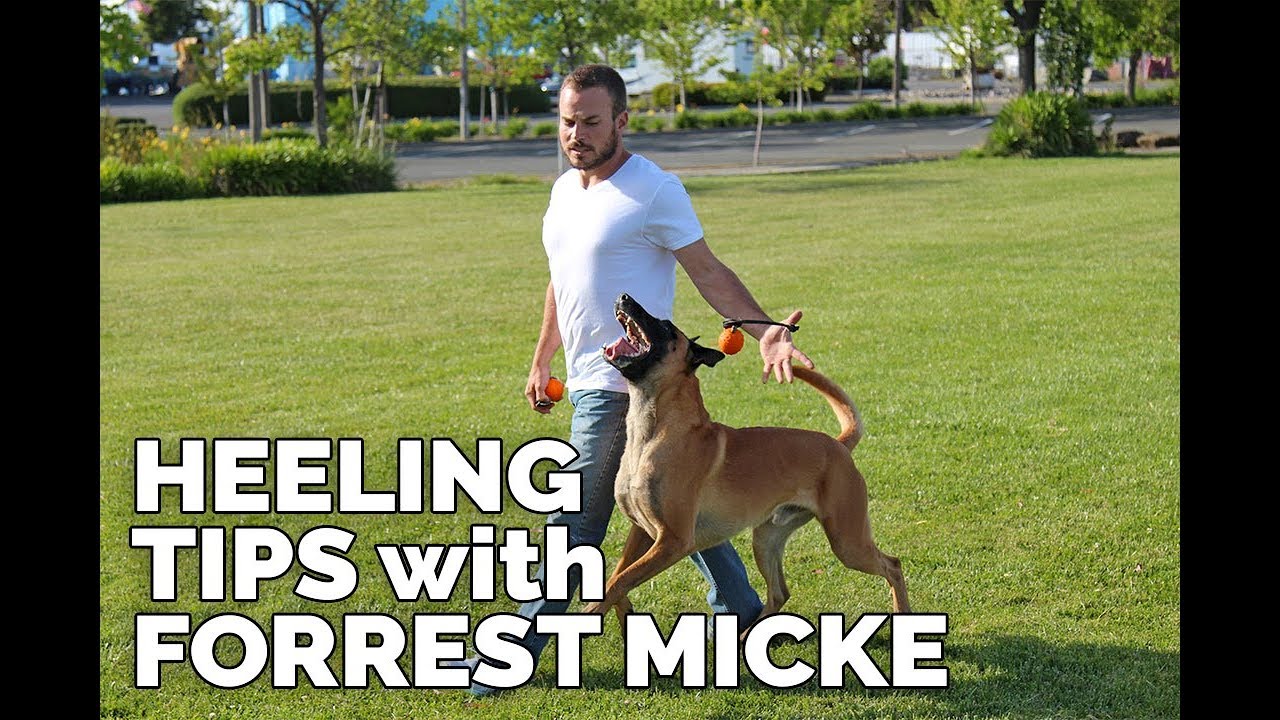 Heeling TIPS with Forrest Micke